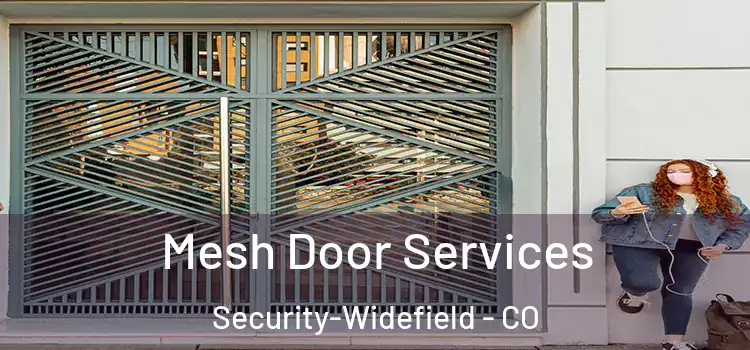 Mesh Door Services Security-Widefield - CO